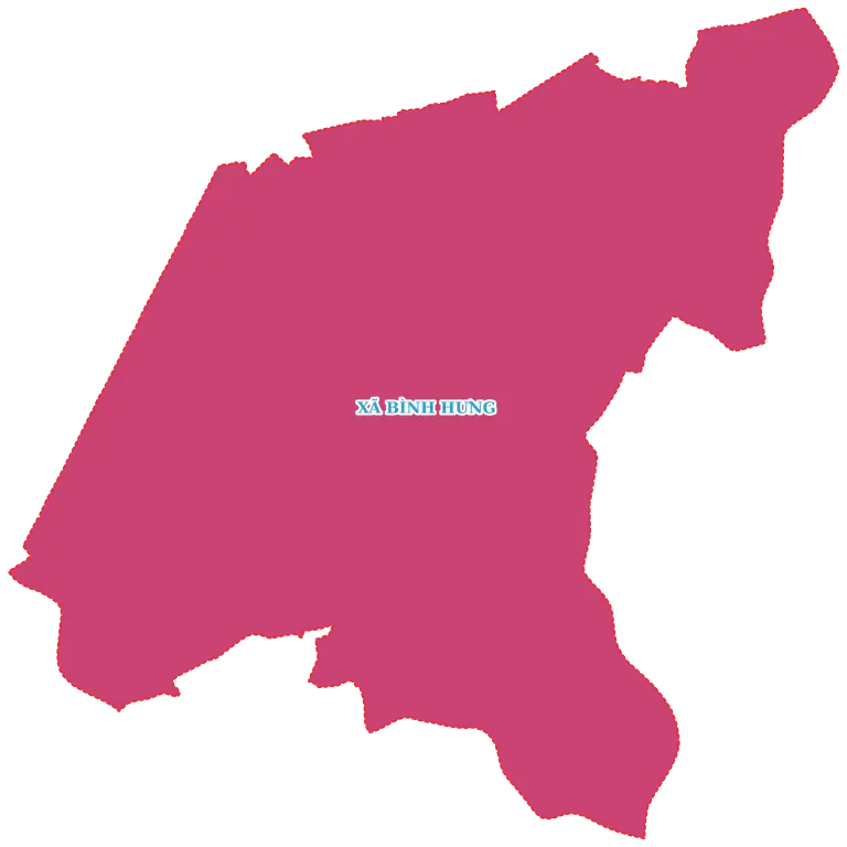 Xã Bình Hưng, Thành phố Hồ Chí Minh